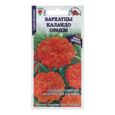 Flower seeds of marigold 