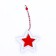 New Year's Suspension "Star"