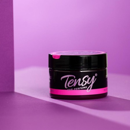Tensy flavor jar in the cup holder, Babb Gam TZ-05