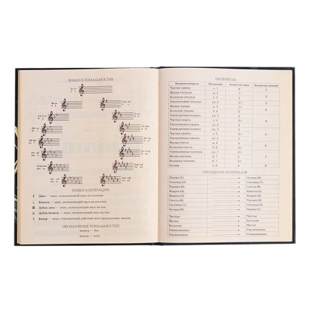 Diary for a music school, 48 sheets, hard cover, matte lamination, foil embossing, reference information, block 60g/m2-12