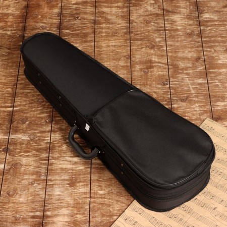 Case/case for the Music Life violin size 1/4-1