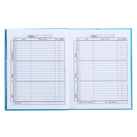 Universal Diary Grade 1-11, 48 sheets "Blue Headphones", integral cover, matte lamination, selective UV-clock-8