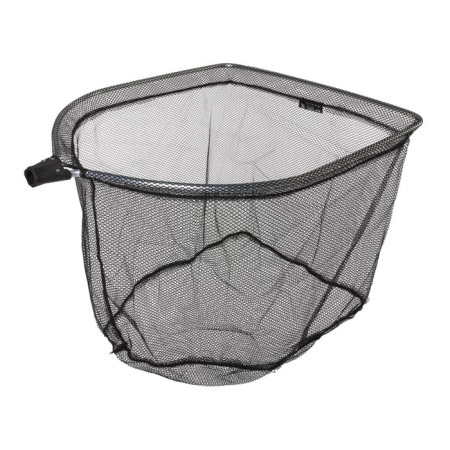 Salmo piercing Salmo from 2 h. 200x65x55cm