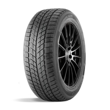 Winter NesyPatable DoubleStar DW09 235/55 R17 99T