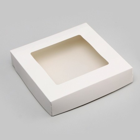 Container for removal, with a window, white, 20 x 20 x 4 cm-4