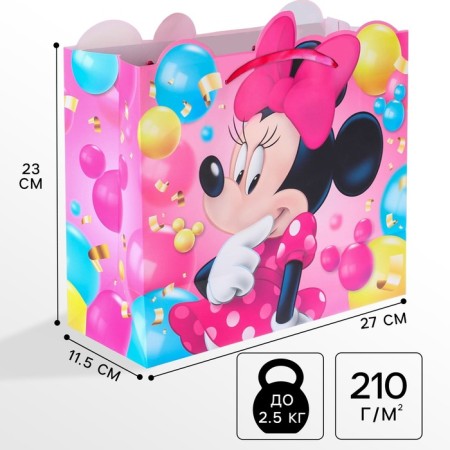 Gift package, 23x27x11.5 cm, packaging, Minnie Mouse