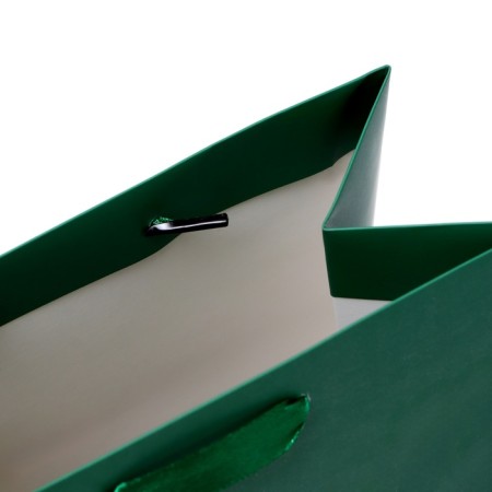 Laminated Green Packet, 18 x 23 x 10 cm-5
