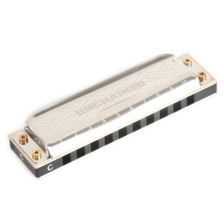 Harmonic harmonica Easttop, Pro60 D, diatonic-3