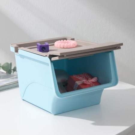 Plastic container for storage with a lid-regiment, 17 × 11 × 11 cm, color mix-2
