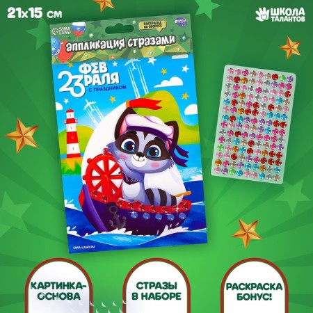 Application with rhinestones "Raccoon" 14.8x21 cm