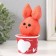 Growing gift grass grass "favorite hare" (21) mix