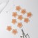 Knitted elements "Two -color flowers", 3.5 × 3.7 cm, 10 pcs, peach color