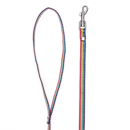 Kapron "Rainbow" leash, 1.6 m x 1 cm-2