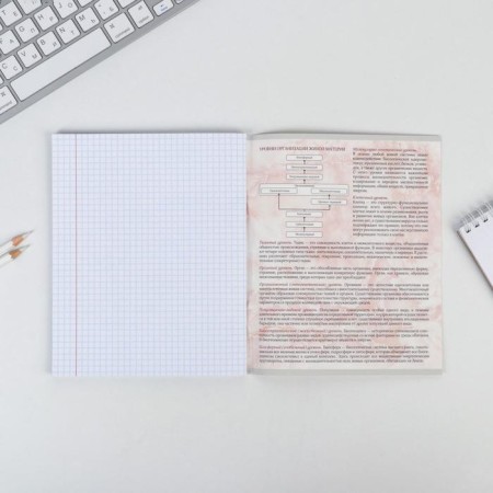 A notebook 48 sheets, A5, marble, from reference. mat. “September 1: Biology”, cover coated cardboard 230 gr., Inner block in a cage 80 gr., White is 96%-5