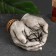 Steam for the little things "palm" stone
