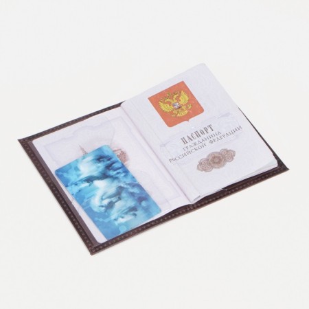Passport cover, brown color-4