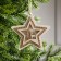 Christmas tree toy "Star with a deer", from batteries, glow warm white