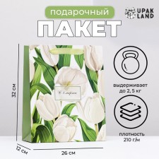 Laminated package 