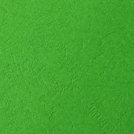 Binding covers A4, 230 g/m2, 100 sheets, cardboard, green, embossing under the skin, Geleos-1