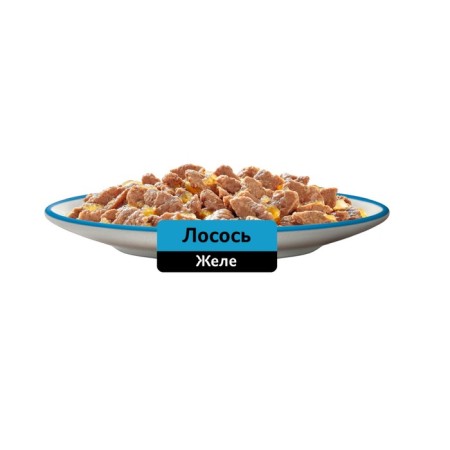 WHENE FORM WHISKAS for cats, with salmon, jelly 75 g-9