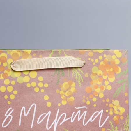 Package Gift Craft Vertical, Packaging, Mimosa, Ml 27 x 23 x 11.5 cm-2