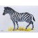 Animals of hot countries in pictures. A visual aid for teachers, speech therapists, educators