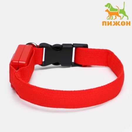 The collar luminous narrow for small dogs, 26 x 1.5 cm, red