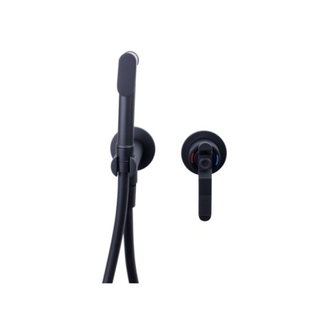Bronze de Luxe 1760’s 3253SB bidetor, with hygienic shower, brass, black-1