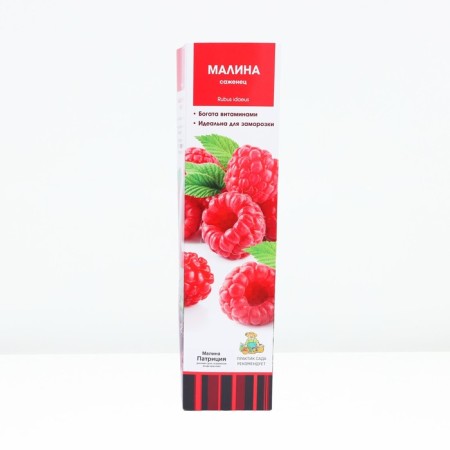 Raspberry traditional varieties "Patricia", tube, 1 pc, spring 2025-1
