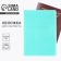 Cover for passport, PVC, turquoise color