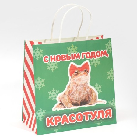 Gift package "Beauty", 22 x 22 x 11 cm, new year-2