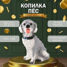 Piggy bank 