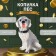 Копилка "Пес Тузик" серый, 21,5 см