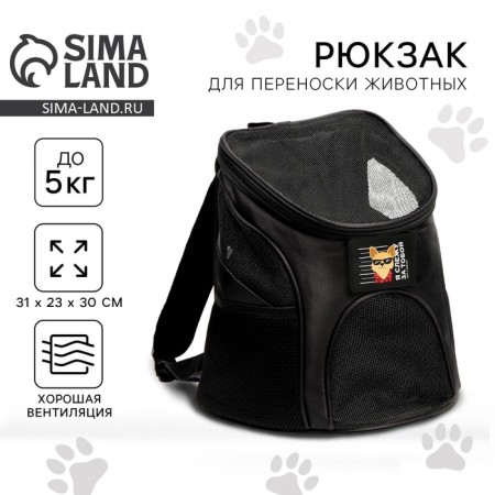 A backpack for carrying animals "I follow you" 31x23x30 cm