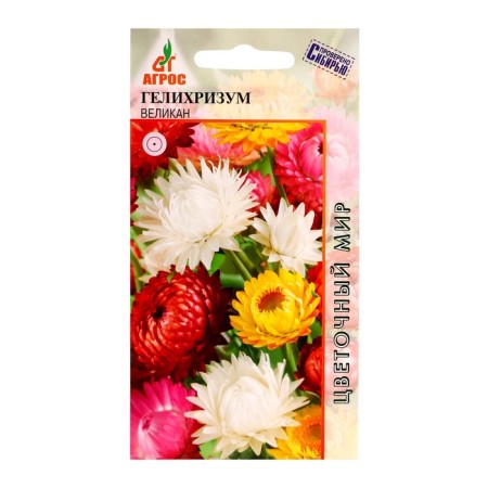 Seeds gelichrizum giant 0.3g*dry