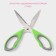 Scissors kitchen shares "Gary", 22 cm, green color