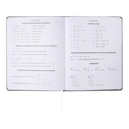 Universal diary for grades 1-11, hard cover, artificial leather, elastic band, lies, tinted block, 48 sheets-15