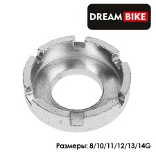 The key to the spitting Dream Bike CJ-001