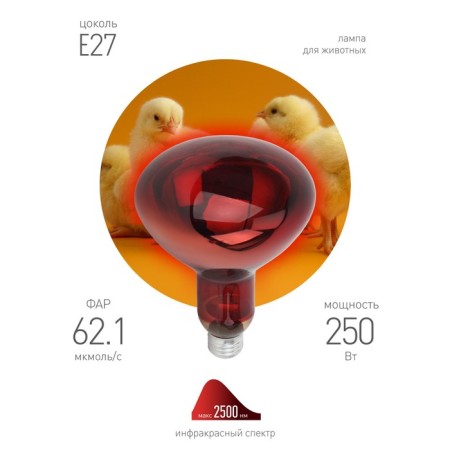 Infrared lamp ERA IKZK 220-250 R127 The multiplicity of 1 pc e27 / e27 for heating animals and lighting