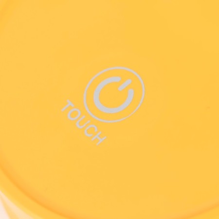 Bloom Bloom Table Lamp LED 3W AKB USB Orange 8x12x42.5 cm Risalux-10
