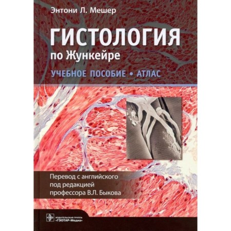 Histology in the okhunker. Atlas. Mesher E.