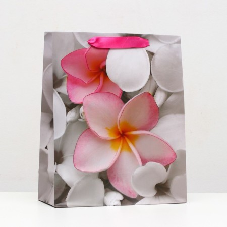 Laminated package, 26 x 32 x 12 cm