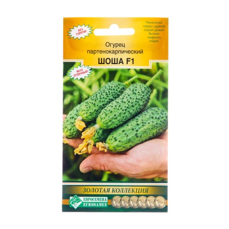 Seeds Cucumber Parthenocarpic Shosh F1, 5 pcs