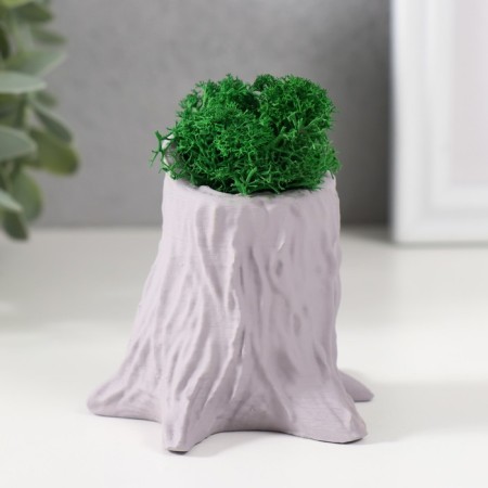 Concrete Kashpo "stump" 7.5x8.5x7 cm gray with moss (moss green stabilized)-1