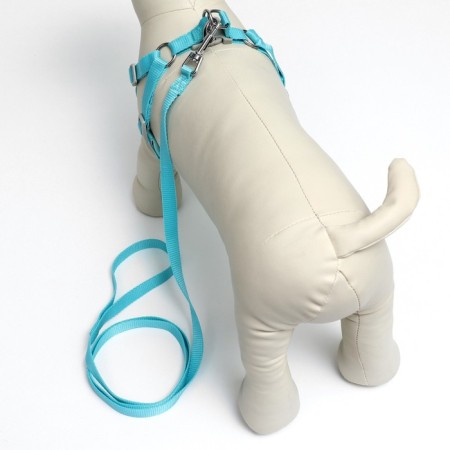 A set with a soft harness, fast-open, l, leash 140 cm, Osh 49-56 cm, og 56-68 cm, turquoise-2
