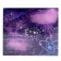 Metal puzzle “Einstein riddles”, set of 4 pcs.