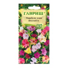 Seeds of Mirabilis 