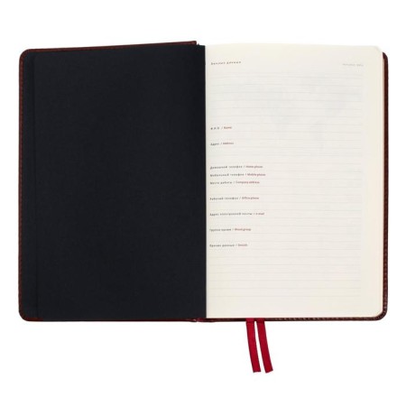 Diary Leduced A5+, 176 Parliament sheets, solid artificial leather cover, green-3