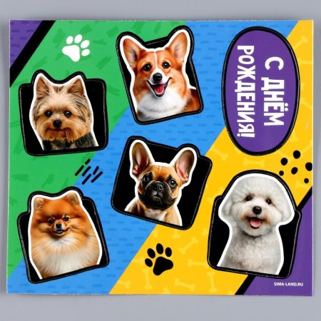 Topper cardboard on a substrate with a “dog” wire-3