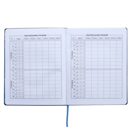 Universal Diary Grade 1-11, 48 sheets "sneakers", soft cover of artificial leather, silk-aircraft, OFSET block-7